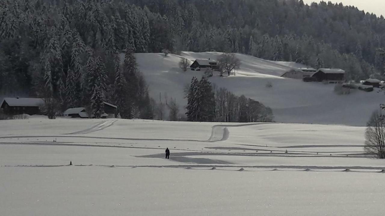 Ferienwohnung Bechter Hittisau Bagian luar foto