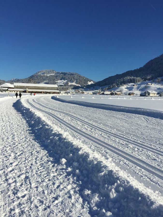Ferienwohnung Bechter Hittisau Bagian luar foto